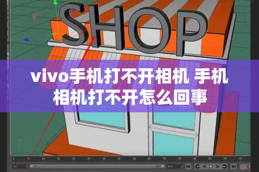 vivo手机打不开相机 手机相机打不开怎么回事