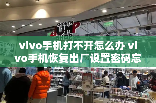vivo手机打不开怎么办 vivo手机恢复出厂设置密码忘了怎么办