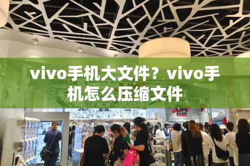 vivo手机大文件？vivo手机怎么压缩文件