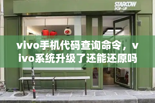 vivo手机代码查询命令，vivo系统升级了还能还原吗