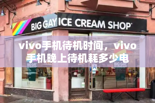 vivo手机待机时间，vivo手机晚上待机耗多少电-第1张图片-星选测评
