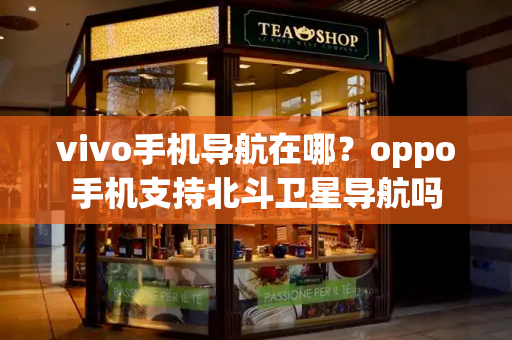 vivo手机导航在哪？oppo手机支持北斗卫星导航吗-第1张图片-星选测评