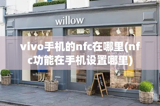 vivo手机的nfc在哪里(nfc功能在手机设置哪里)-第1张图片-星选测评