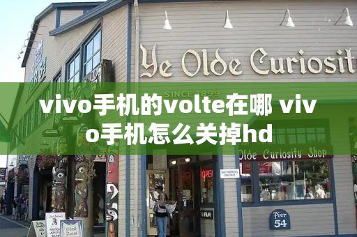 vivo手机的volte在哪 vivo手机怎么关掉hd-第1张图片-星选测评