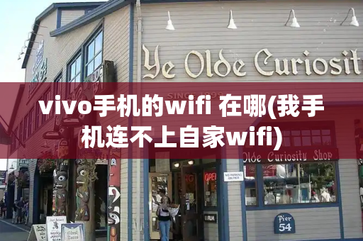 vivo手机的wifi 在哪(我手机连不上自家wifi)-第1张图片-星选测评