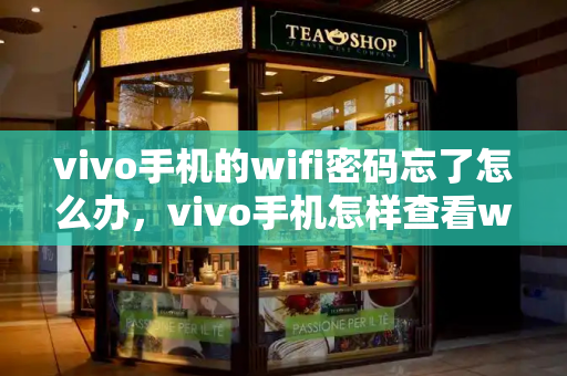 vivo手机的wifi密码忘了怎么办，vivo手机怎样查看wifi密码-第1张图片-星选测评