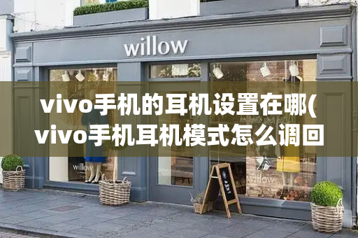 vivo手机的耳机设置在哪(vivo手机耳机模式怎么调回来)