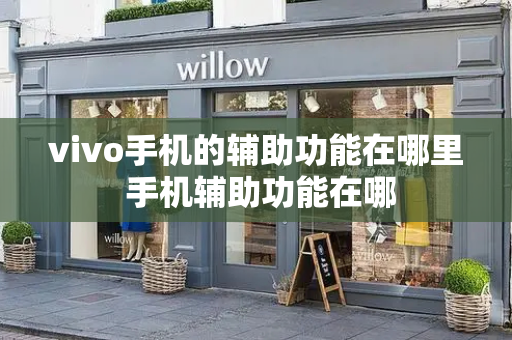 vivo手机的辅助功能在哪里 手机辅助功能在哪-第1张图片-星选测评