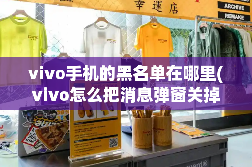 vivo手机的黑名单在哪里(vivo怎么把消息弹窗关掉)-第1张图片-星选测评