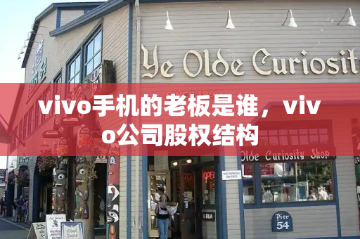 vivo手机的老板是谁，vivo公司股权结构