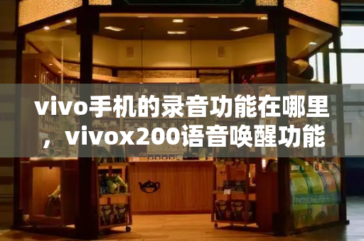 vivo手机的录音功能在哪里，vivox200语音唤醒功能