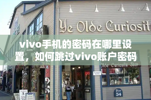 vivo手机的密码在哪里设置，如何跳过vivo账户密码-第1张图片-星选测评