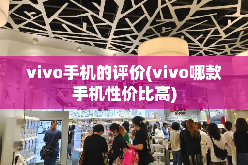vivo手机的评价(vivo哪款手机性价比高)