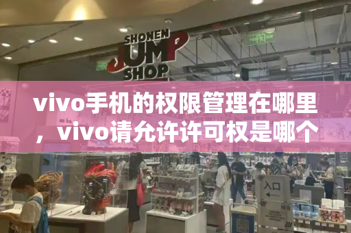 vivo手机的权限管理在哪里，vivo请允许许可权是哪个权限-第1张图片-星选测评