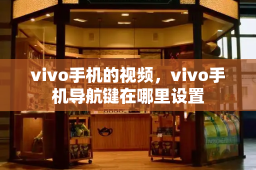 vivo手机的视频，vivo手机导航键在哪里设置