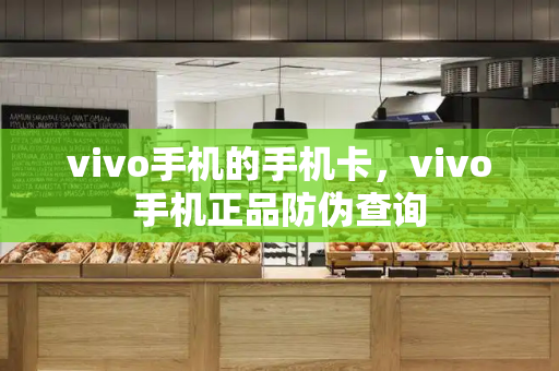 vivo手机的手机卡，vivo手机正品防伪查询-第1张图片-星选测评