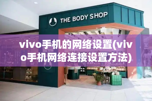 vivo手机的网络设置(vivo手机网络连接设置方法)-第1张图片-星选测评