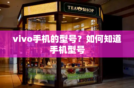 vivo手机的型号？如何知道手机型号-第1张图片-星选测评