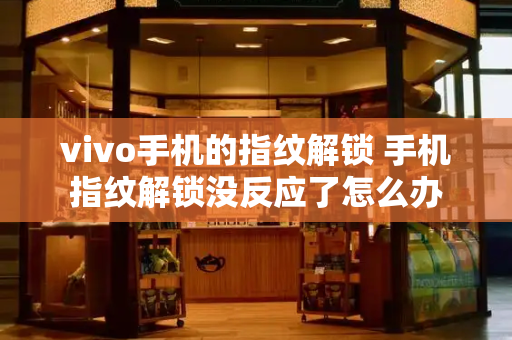 vivo手机的指纹解锁 手机指纹解锁没反应了怎么办