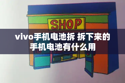 vivo手机电池拆 拆下来的手机电池有什么用