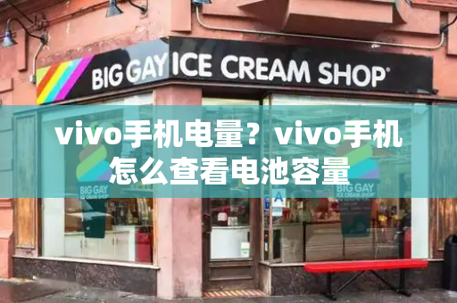 vivo手机电量？vivo手机怎么查看电池容量-第1张图片-星选测评