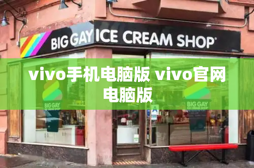 vivo手机电脑版 vivo官网电脑版-第1张图片-星选测评
