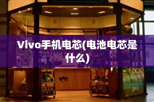 Vivo手机电芯(电池电芯是什么)