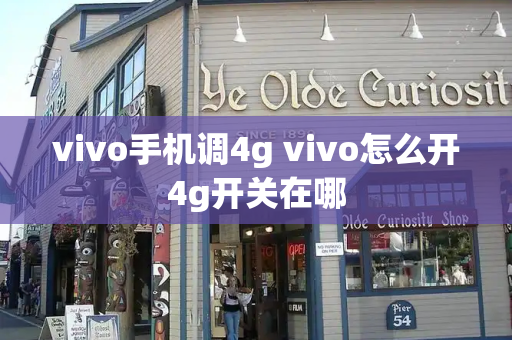 vivo手机调4g vivo怎么开4g开关在哪