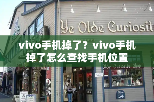 vivo手机掉了？vivo手机掉了怎么查找手机位置