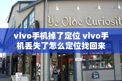 vivo手机掉了定位 vivo手机丢失了怎么定位找回来