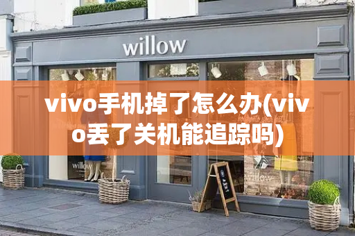 vivo手机掉了怎么办(vivo丢了关机能追踪吗)
