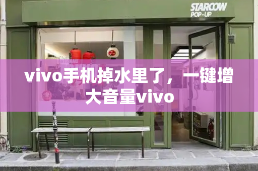 vivo手机掉水里了，一键增大音量vivo-第1张图片-星选测评