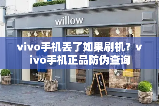 vivo手机丢了如果刷机？vivo手机正品防伪查询-第1张图片-星选测评
