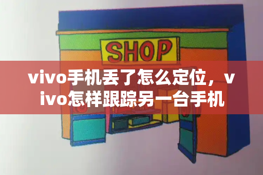 vivo手机丢了怎么定位，vivo怎样跟踪另一台手机-第1张图片-星选测评