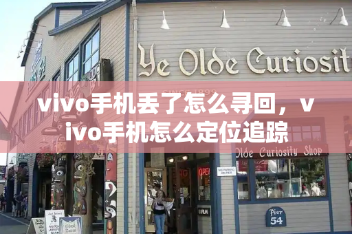 vivo手机丢了怎么寻回，vivo手机怎么定位追踪