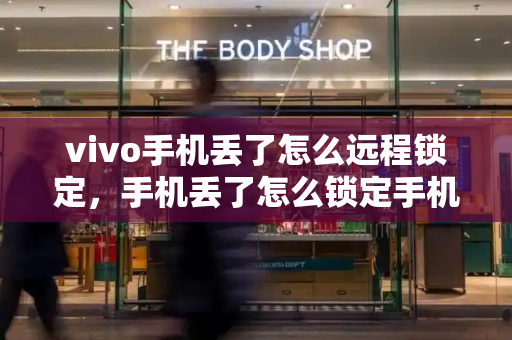 vivo手机丢了怎么远程锁定，手机丢了怎么锁定手机-第1张图片-星选测评