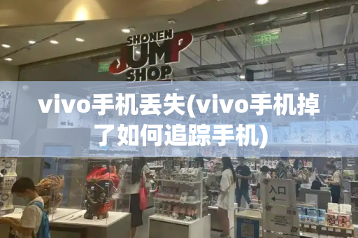 vivo手机丢失(vivo手机掉了如何追踪手机)-第1张图片-星选测评