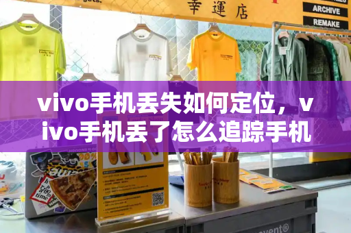 vivo手机丢失如何定位，vivo手机丢了怎么追踪手机位置-第1张图片-星选测评