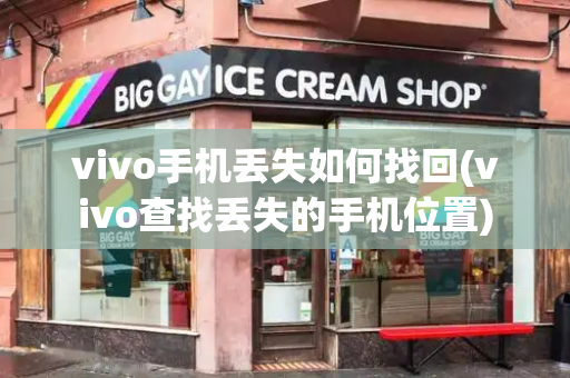 vivo手机丢失如何找回(vivo查找丢失的手机位置)-第1张图片-星选测评