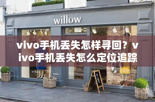 vivo手机丢失怎样寻回？vivo手机丢失怎么定位追踪-第1张图片-星选测评