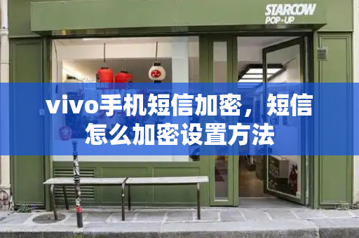 vivo手机短信加密，短信怎么加密设置方法-第1张图片-星选测评