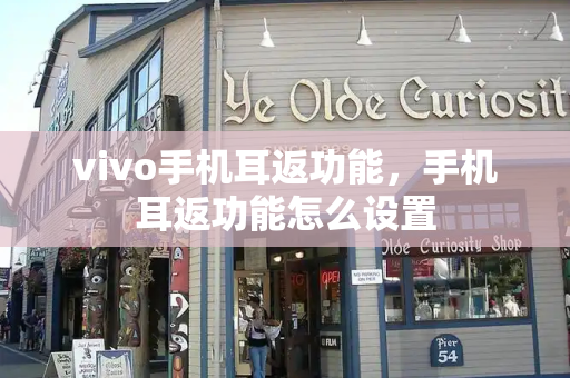 vivo手机耳返功能，手机耳返功能怎么设置-第1张图片-星选测评