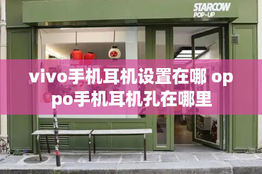 vivo手机耳机设置在哪 oppo手机耳机孔在哪里-第1张图片-星选测评