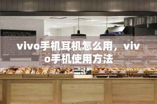 vivo手机耳机怎么用，vivo手机使用方法