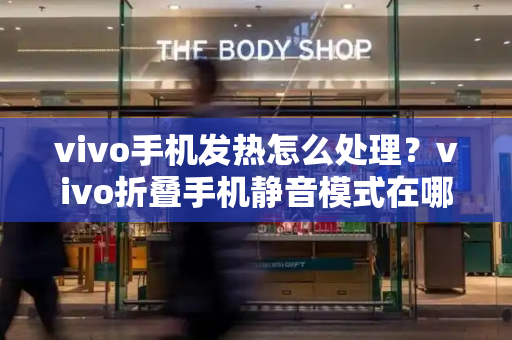 vivo手机发热怎么处理？vivo折叠手机静音模式在哪-第1张图片-星选测评