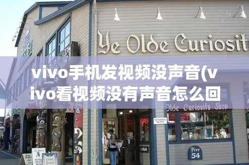 vivo手机发视频没声音(vivo看视频没有声音怎么回事)