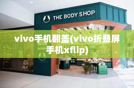 vivo手机翻盖(vivo折叠屏手机xflip)-第1张图片-星选测评