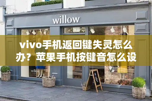 vivo手机返回键失灵怎么办？苹果手机按键音怎么设置出来-第1张图片-星选测评