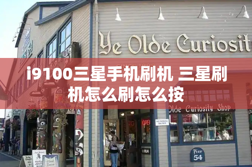 i9100三星手机刷机 三星刷机怎么刷怎么按