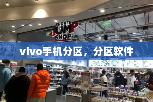 vivo手机分区，分区软件-第1张图片-星选测评